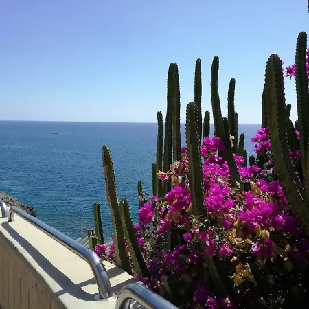 With Terrace Facing